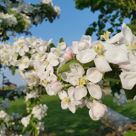 Wellen Widdingenhof Bed & Breakfast エクステリア 写真