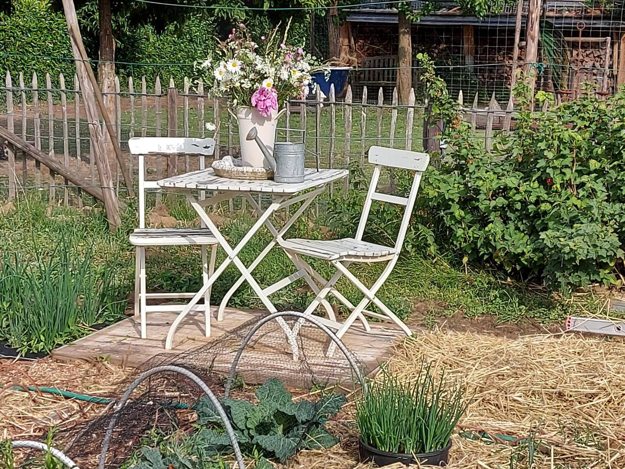 Wellen Widdingenhof Bed & Breakfast エクステリア 写真